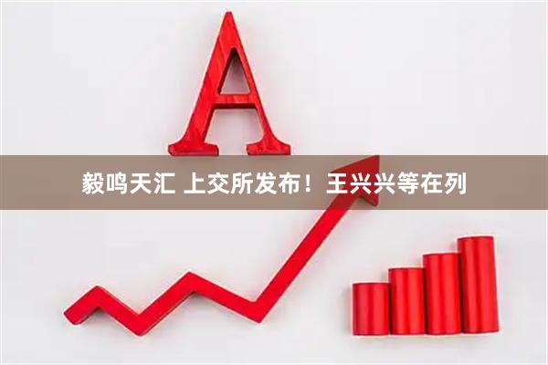 毅鸣天汇 上交所发布！王兴兴等在列