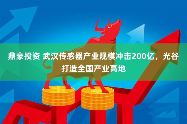 鼎豪投资 武汉传感器产业规模冲击200亿，光谷打造全国产业高地