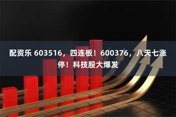 配资乐 603516，四连板！600376，八天七涨停！科技股大爆发