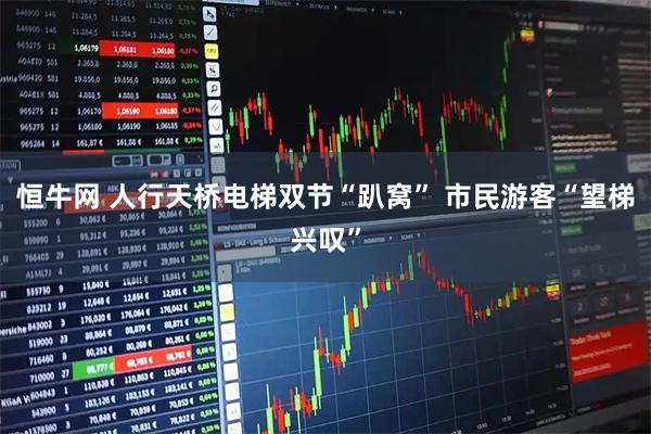 恒牛网 人行天桥电梯双节“趴窝” 市民游客“望梯兴叹”