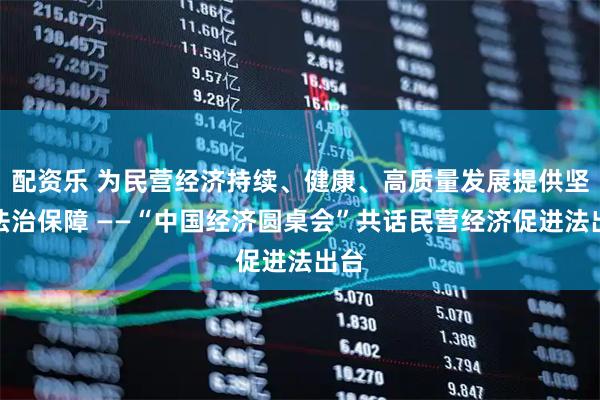 配资乐 为民营经济持续、健康、高质量发展提供坚实法治保障 ——“中国经济圆桌会”共话民营经济促进法出台