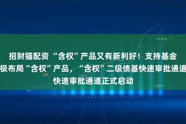 招财猫配资 “含权”产品又有新利好！支持基金管理人积极布局“含权”产品，“含权”二级债基快速审批通道正式启动