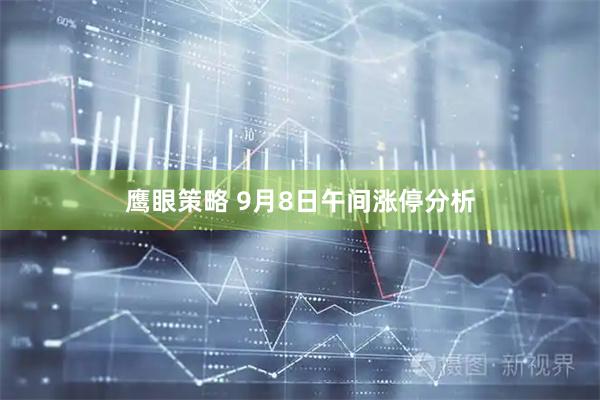 鹰眼策略 9月8日午间涨停分析