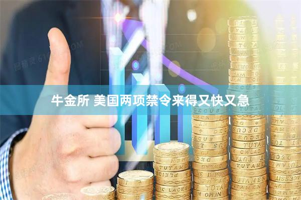 牛金所 美国两项禁令来得又快又急